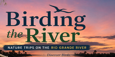 Birding The River